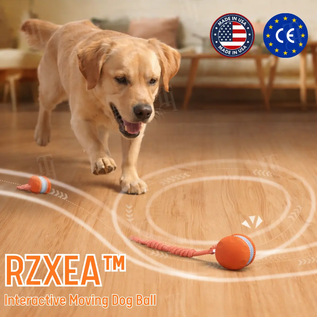 Interactive Moving Dog Ball (ππ% ππ½π½ ππ‘ππ¦ ππ‘ ππ¬ π ππ‘π¨π§ππ¦)