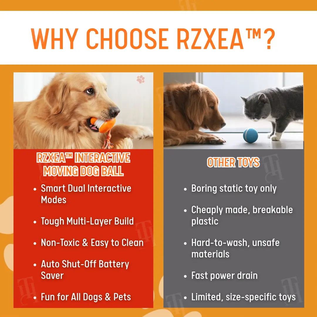 Interactive Moving Dog Ball (ππ% ππ½π½ ππ‘ππ¦ ππ‘ ππ¬ π ππ‘π¨π§ππ¦) - Image 7