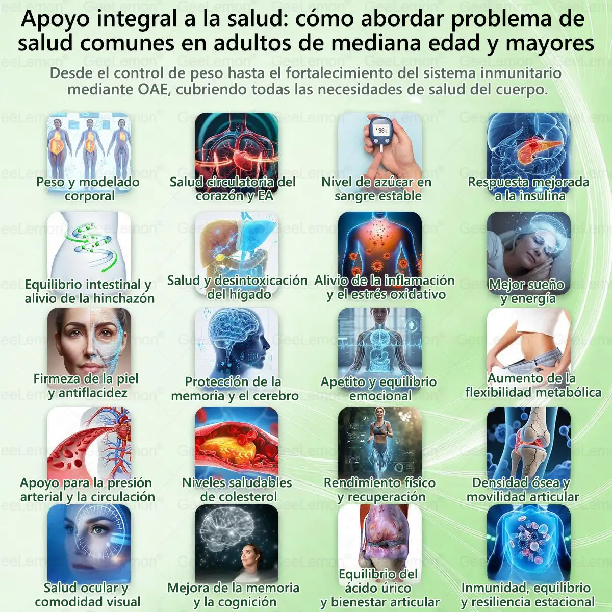 ๐๐จ๐ซ๐ข๐ง๐ ๐ ยท ๐๐๐ซ๐๐๐ซ๐ข๐ง๐ ร ๐๐๐+ ๐๐ ๐๐ง ๐ ๐๐๐ซ๐๐ก๐ ๐๐ฏ๐๐ง๐ณ๐๐๐จ ๐๐ ๐๐๐ง๐จ-๐๐ข๐๐ซ๐จ๐๐ ๐ฎ๐ฃ๐๐ฌ - Image 13