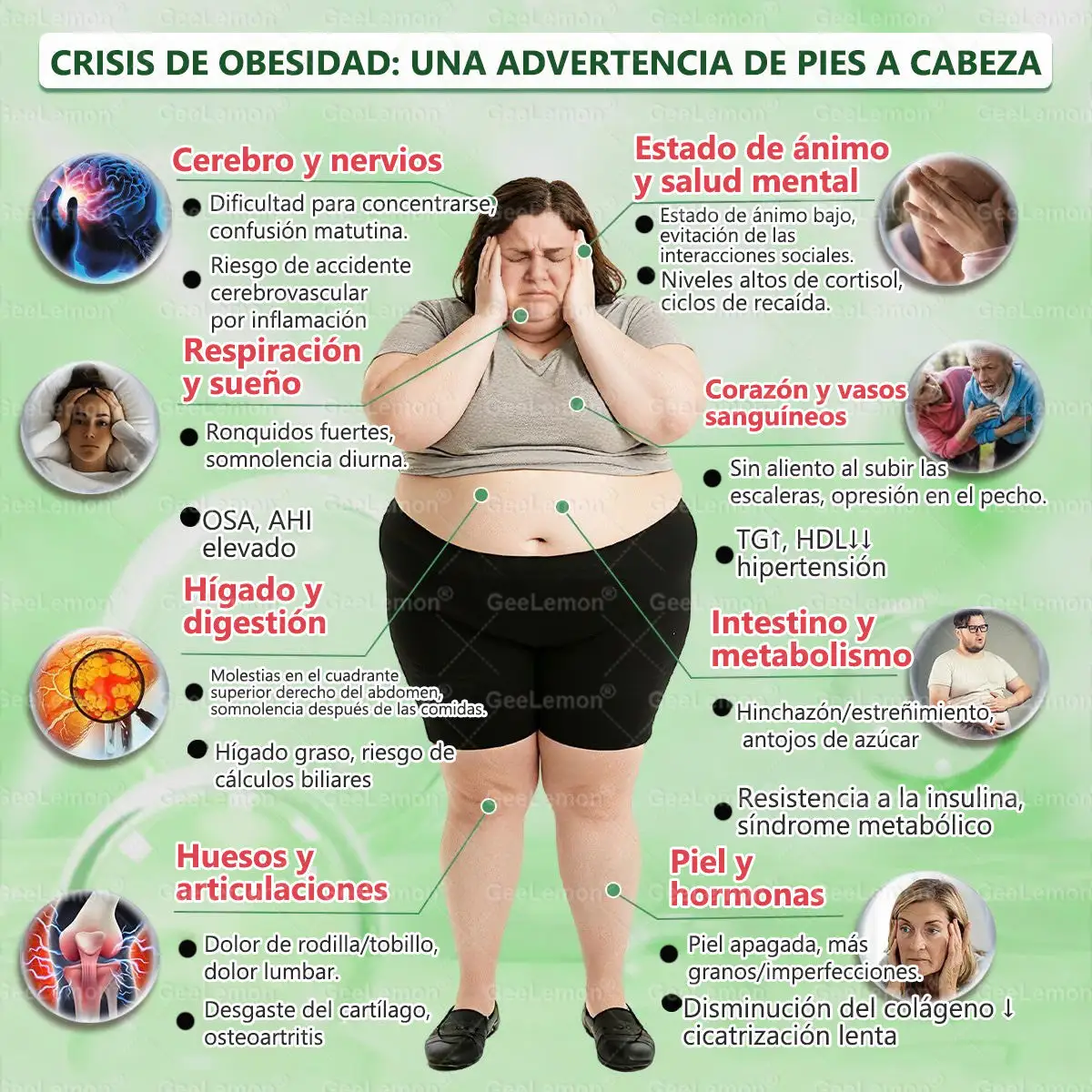 ๐๐จ๐ซ๐ข๐ง๐ ๐ ยท ๐๐๐ซ๐๐๐ซ๐ข๐ง๐ ร ๐๐๐+ ๐๐ ๐๐ง ๐ ๐๐๐ซ๐๐ก๐ ๐๐ฏ๐๐ง๐ณ๐๐๐จ ๐๐ ๐๐๐ง๐จ-๐๐ข๐๐ซ๐จ๐๐ ๐ฎ๐ฃ๐๐ฌ - Image 9