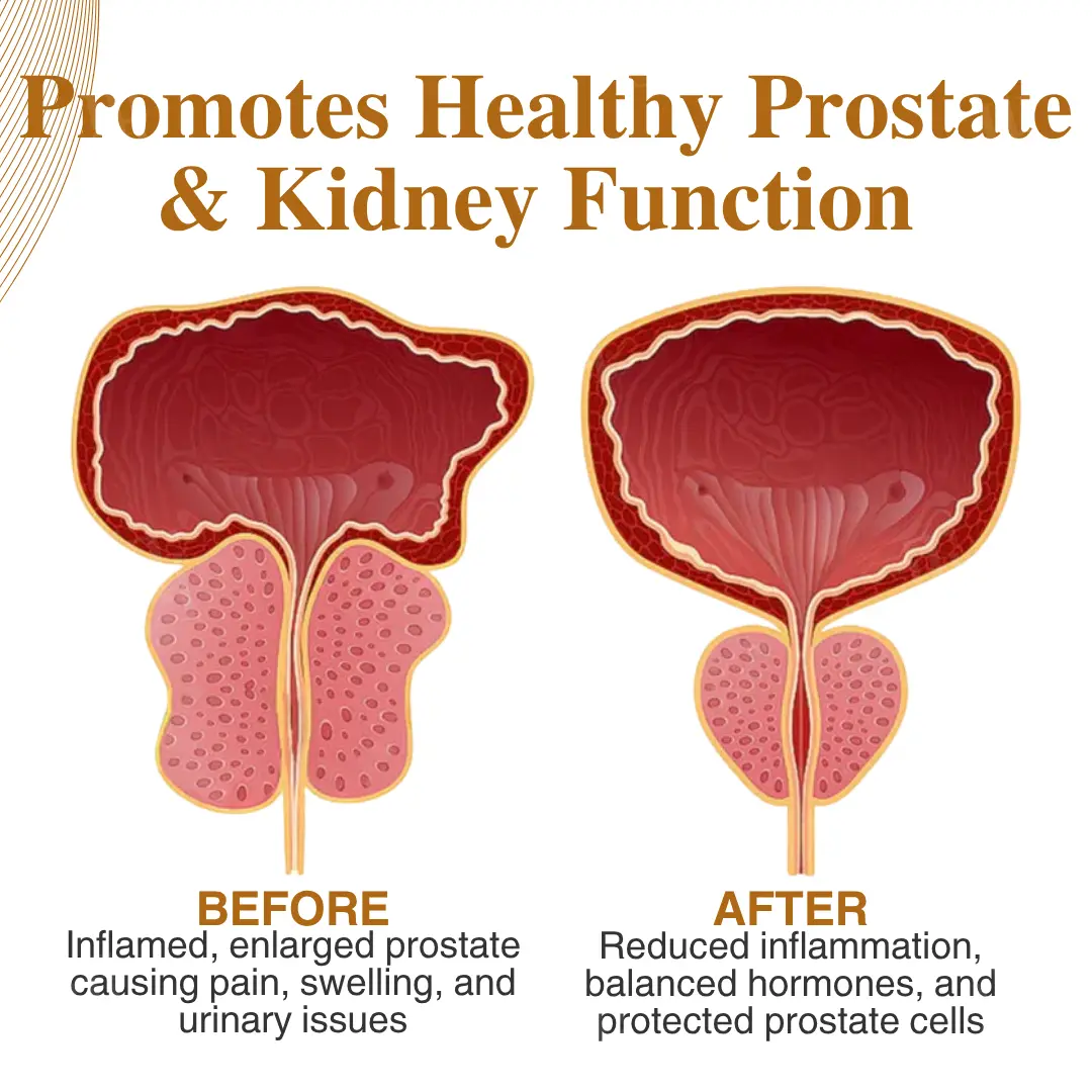 Nano-Bee Venom All-in-One Vitality Patch - Image 7