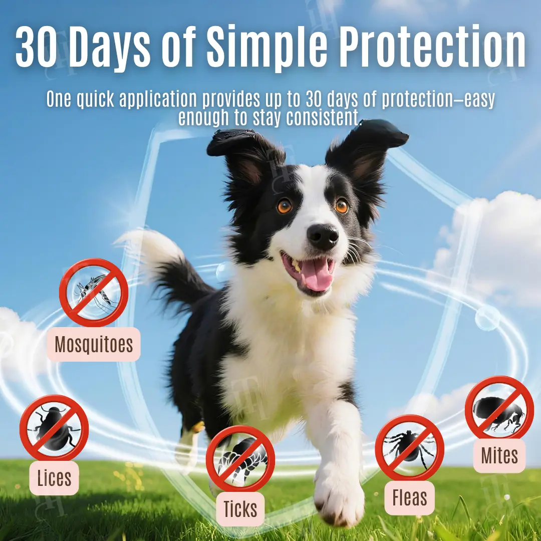 🛡 Shield Your Pup from Fleas & Ticks | 30-Day Flea & Tick Protection Drops - Image 3