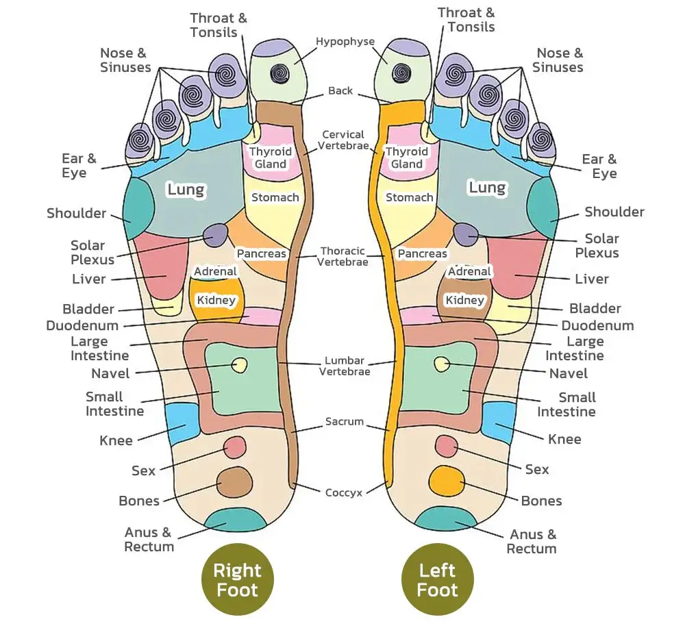 PRO Herbal Detox Foot Soak Beads - Image 5