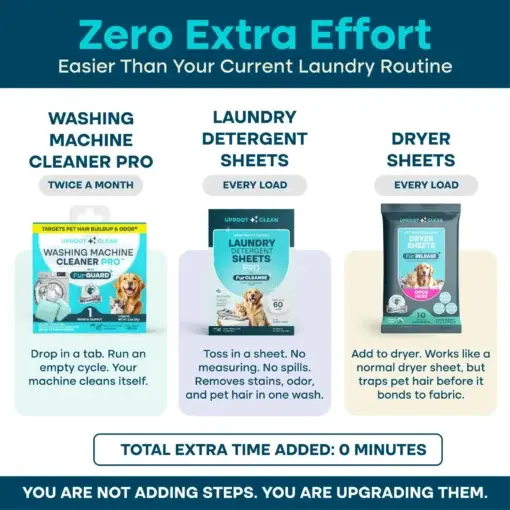 Laundry Cycle Pro - Image 5