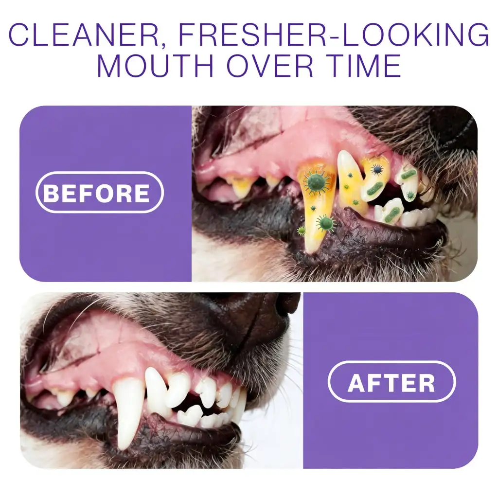Pet Oral Spray - Image 3